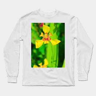 Yellow red lily blossom on green background Long Sleeve T-Shirt